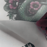 GIF by Supacolor