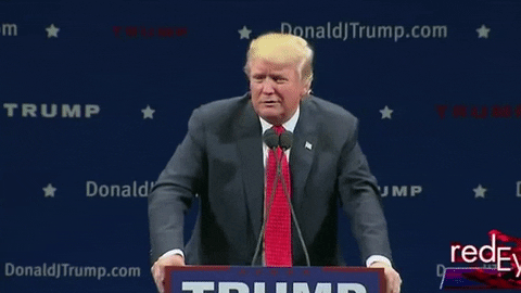 frustrated donald trump GIF