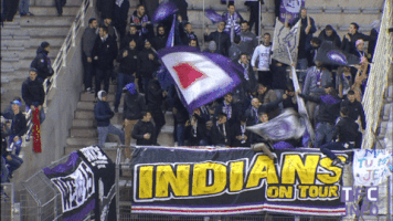 ligue 1 soccer GIF by Toulouse Football Club