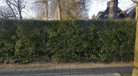 bicycle stealing GIF by VR-Innovations