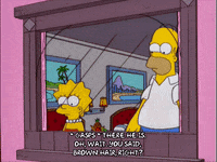 homer simpson GIF