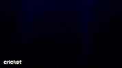 Shark Week Fish GIF by Cricket Wireless