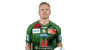 Handball-Bundesliga Ball Sticker by LIQUI MOLY HBL
