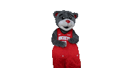 National Basketball Association Sport Sticker by Houston Rockets
