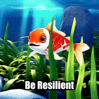 Confishius Character GIF by TheConfishius