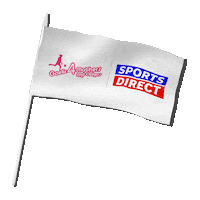 Gaelic Football Dublin Sticker by Sports Direct