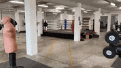 Gym GIF by Marseille Boxing Club