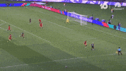 Caitlin Foord Goal GIF by Football Australia