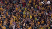 Asian Cup Celebration GIF by Football Australia