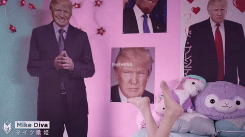 donald trump GIF by Mike Diva