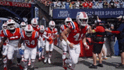 Football Nfl GIF by New England Patriots