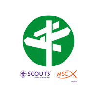 Scout Sticker by scoutsdemadrid