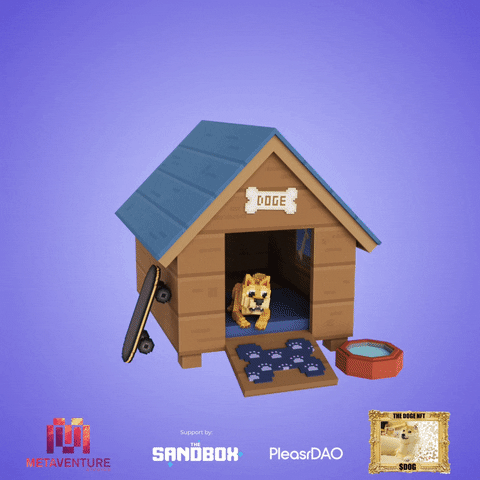 OwnTheDogeWow giphyupload GIF