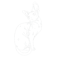 Cat Blinking Sticker