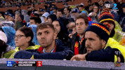 2018 season football GIF by AFL