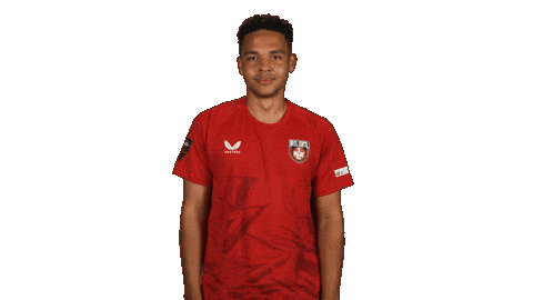 Fc Kaiserslautern Yawn Sticker by Bundesliga