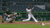 Major League Baseball Sport GIF by MLB