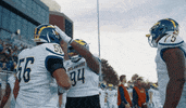 College Sports Football GIF by Delaware Blue Hens