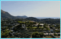 DoYouDiscover dyd doyoudiscover GIF