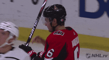 ice hockey hug GIF by NHL