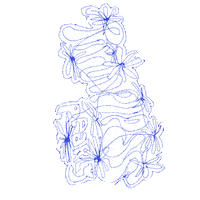 Paris Pearl Sticker by Timeless Pearly