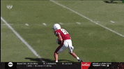 gostanford  GIF