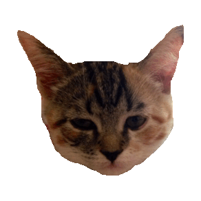 shade sass STICKER by imoji
