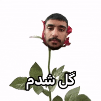 شدممم GIF