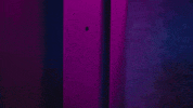 Doja Cat Whos There GIF by EMPIRE