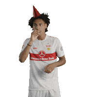 Fail Happy Birthday Sticker by VfB Stuttgart