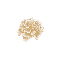 theudaya nature flower natural spa Sticker