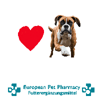 Boxerdog Sticker by Europeanpetpharmacy
