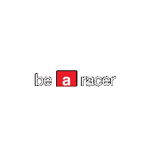 Racing Race Sticker by Leupimoto