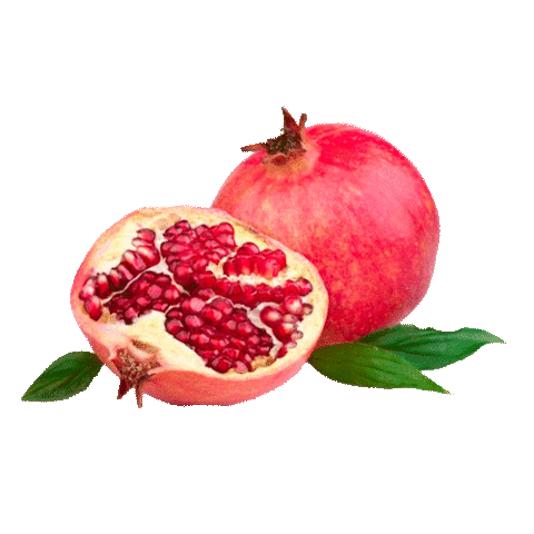 Byoode giphyupload Sticker