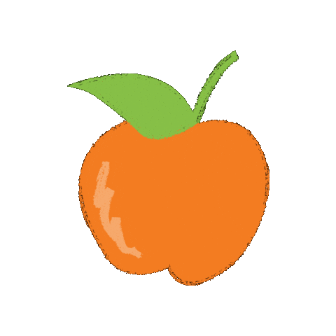 ObradorFlorida giphygifmaker fruit naranja fruta Sticker