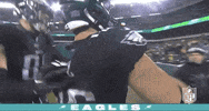 2019 Nfl Football GIF by NFL