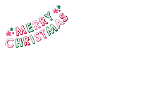 Christmas Sticker by Capital City Coordination