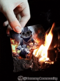 Fire Burning GIF by Sad Hamster