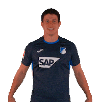 Sport Bundesliga Sticker by TSG Hoffenheim