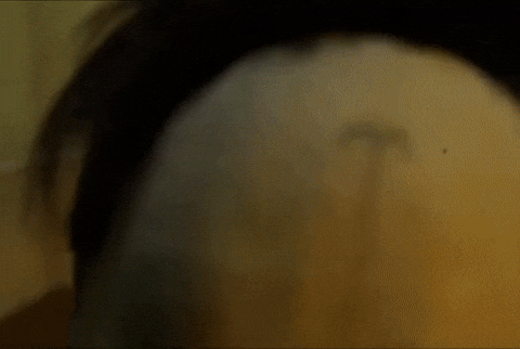 Animation Create GIF by Alex Boya