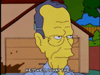 homer simpson episode 13 GIF