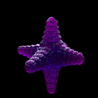 Hafid3D GIF