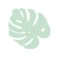 Naturaleza Monstera Sticker by lamagiadeemprender