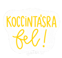 drinkit_hu alkohol buli bulika koccintas Sticker