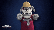 Baseball Yes GIF by Mahoning Valley Scrappers