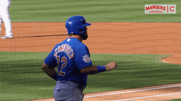 High Five Chicago Cubs GIF by Marquee Sports Network