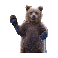 yo hello STICKER by imoji