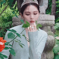 Korean Girl Tiara GIF