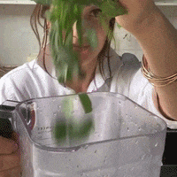 GIF by On The Wild Side