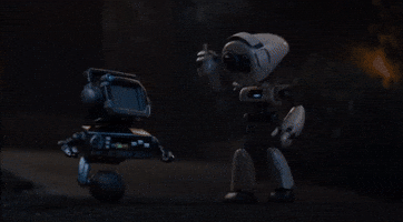 Whenever My Cat Does Something Cute